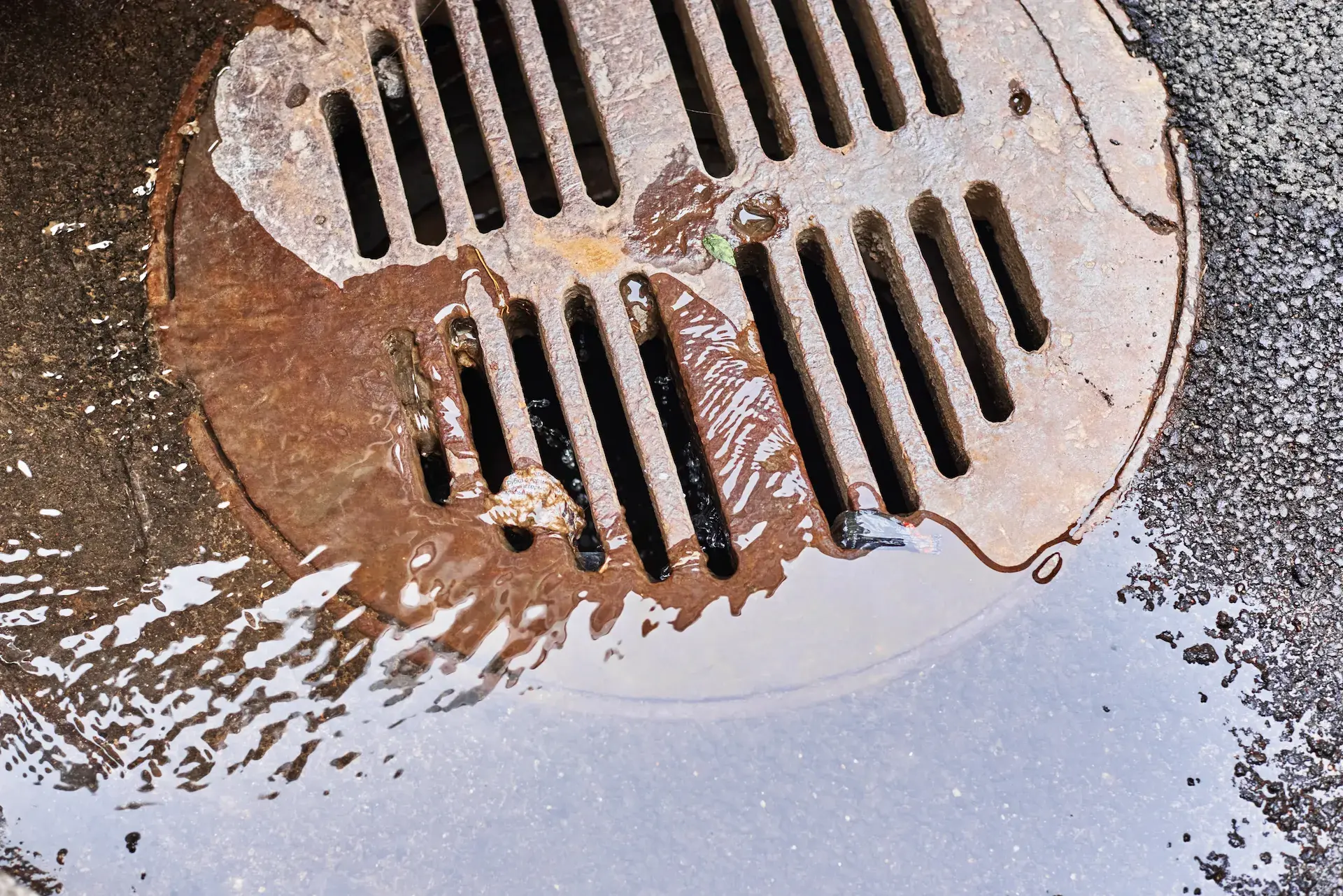 Water draining into a sewer manhole after rain on 2023 11 27 05 11 28 utc